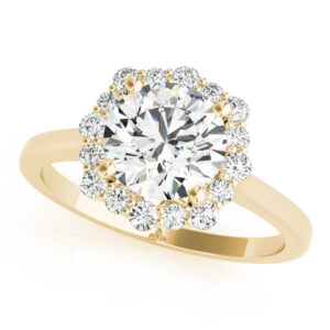 Sasha Halo Engagement Ring
